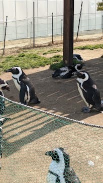 名古屋港水族館に投稿された画像（2022/2/2）