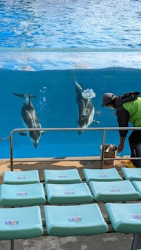 名古屋港水族館に投稿された画像（2022/2/2）