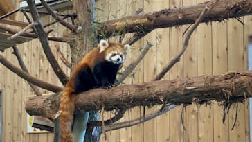 伊豆シャボテン動物公園に投稿された画像（2022/2/2）