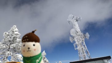 志賀高原マウンテンリゾートに投稿された画像（2022/2/2）