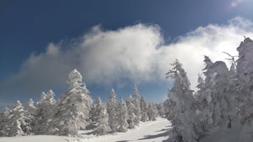 志賀高原マウンテンリゾートに投稿された画像（2022/2/2）