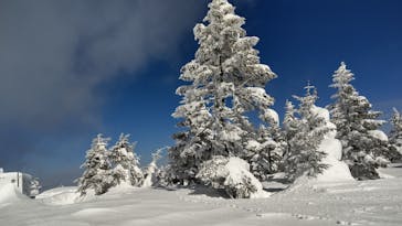 志賀高原マウンテンリゾートに投稿された画像（2022/2/2）