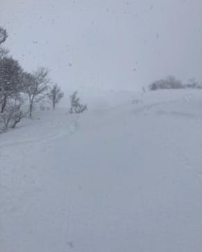 白馬八方尾根スキー場に投稿された画像（2022/2/2）