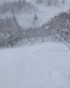 白馬八方尾根スキー場に投稿された画像（2022/2/2）