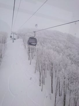 野沢温泉スキー場に投稿された画像（2022/2/2）