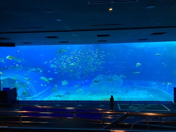 沖縄美ら海水族館に投稿された画像（2022/2/2）