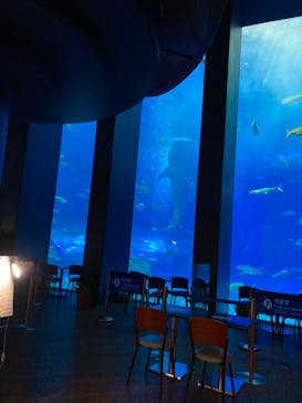 沖縄美ら海水族館に投稿された画像（2022/2/2）