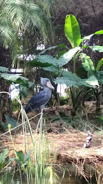 神戸どうぶつ王国に投稿された画像（2022/2/2）