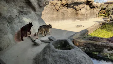 神戸どうぶつ王国に投稿された画像（2022/2/2）