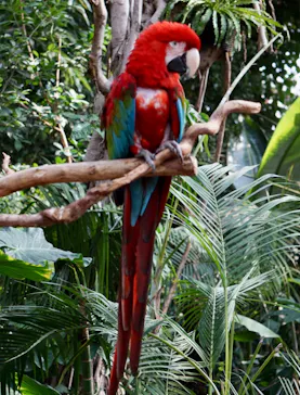 神戸どうぶつ王国に投稿された画像（2022/2/2）