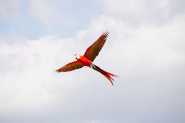 神戸どうぶつ王国に投稿された画像（2022/2/2）