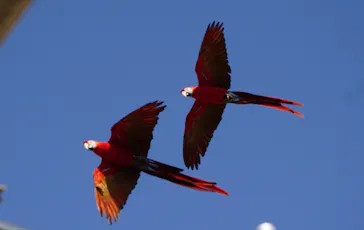 神戸どうぶつ王国に投稿された画像（2022/2/2）