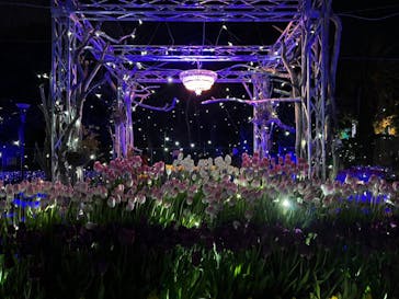 江の島シーキャンドルに投稿された画像（2022/2/2）