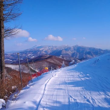 パインビークスキー場に投稿された画像（2022/2/2）