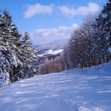 パインビークスキー場に投稿された画像（2022/2/2）