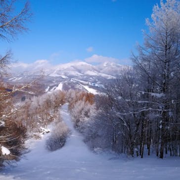 パインビークスキー場に投稿された画像（2022/2/2）