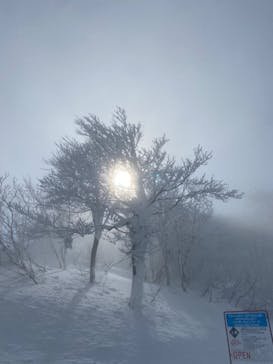 斑尾高原スキー場に投稿された画像（2022/2/2）