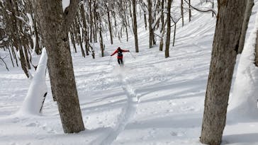 ノースナガノアウトドアスポーツに投稿された画像（2022/2/2）