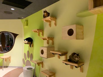 Moff animal world MARK IS みなとみらい店に投稿された画像（2022/2/3）