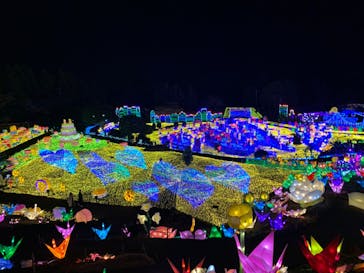 伊豆ぐらんぱる公園に投稿された画像（2022/2/3）