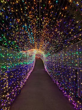 伊豆ぐらんぱる公園に投稿された画像（2022/2/3）