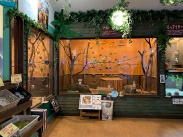 伊豆ぐらんぱる公園に投稿された画像（2022/2/3）