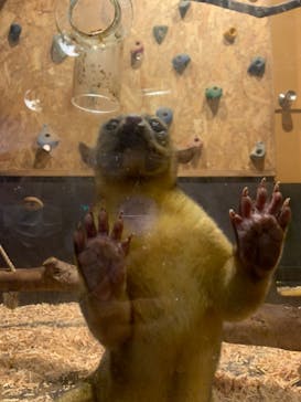 伊豆ぐらんぱる公園に投稿された画像（2022/2/3）