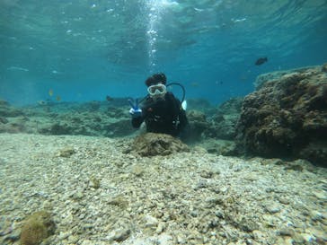 武藤潜水に投稿された画像（2022/2/3）