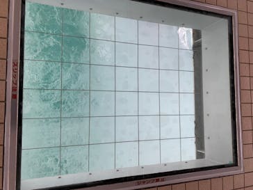 徳島県立 渦の道に投稿された画像（2022/2/3）