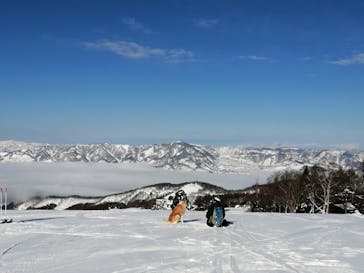 野沢温泉スキー場に投稿された画像（2022/2/3）