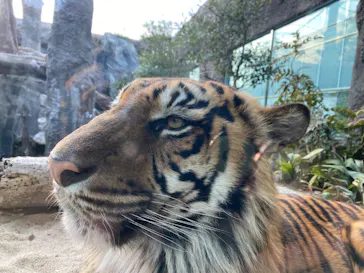 神戸どうぶつ王国に投稿された画像（2022/2/3）