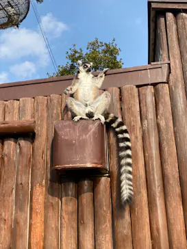 神戸どうぶつ王国に投稿された画像（2022/2/3）