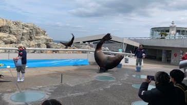 大分マリーンパレス水族館 「うみたまご」に投稿された画像（2022/2/3）