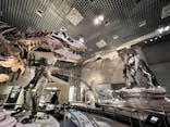 国立科学博物館に投稿された画像（2022/2/3）