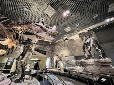 国立科学博物館に投稿された画像（2022/2/3）