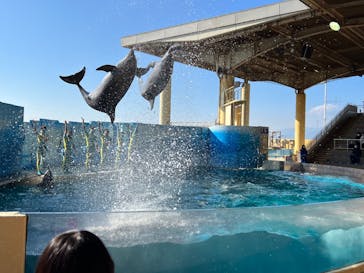 新江ノ島水族館に投稿された画像（2022/2/3）