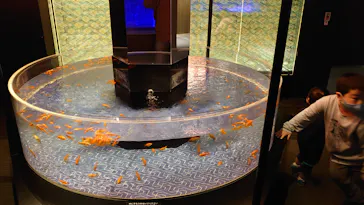 すみだ水族館に投稿された画像（2022/2/3）