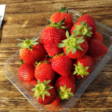 井上寅雄農園に投稿された画像（2022/2/3）