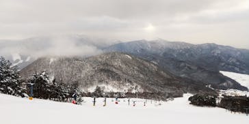 よませ温泉スキー場に投稿された画像（2022/2/3）