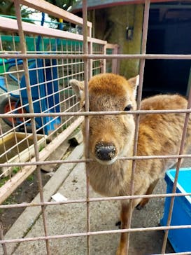 伊豆アニマルキングダムに投稿された画像（2022/2/3）