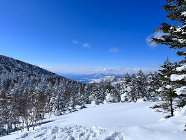 志賀高原マウンテンリゾートに投稿された画像（2022/2/4）