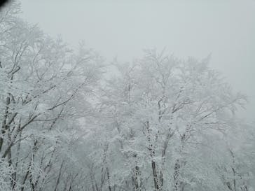 白馬コルチナスキー場に投稿された画像（2022/2/4）