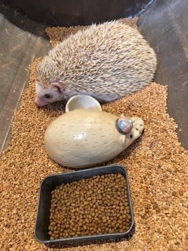 HARRY　横浜中華街店に投稿された画像（2022/2/4）