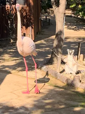 神戸どうぶつ王国に投稿された画像（2022/2/4）