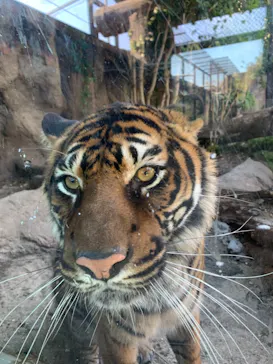 神戸どうぶつ王国に投稿された画像（2022/2/4）