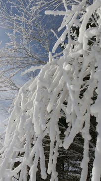 サンメドウズ清里に投稿された画像（2022/2/4）