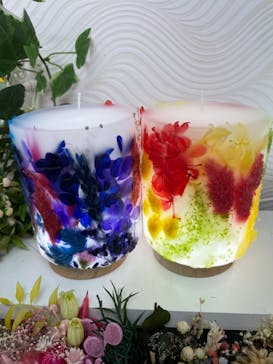 ずこうしつ〜sugamo〜に投稿された画像（2022/2/4）