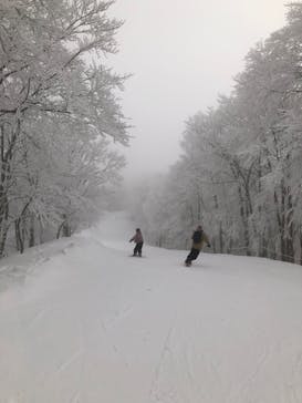 白馬コルチナスキー場に投稿された画像（2022/2/4）