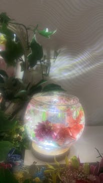 ずこうしつ〜sugamo〜に投稿された画像（2022/2/4）