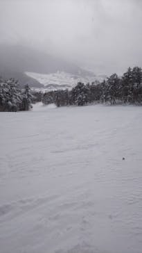 よませ温泉スキー場に投稿された画像（2022/2/4）